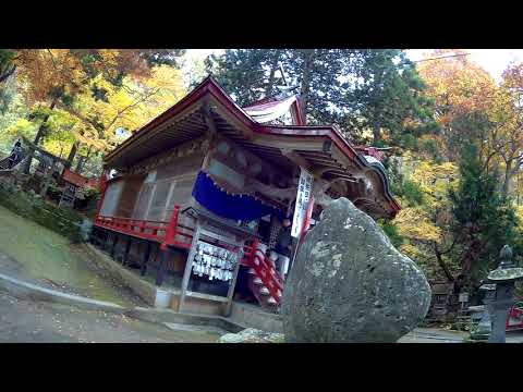 中野もみじ山　2018年②