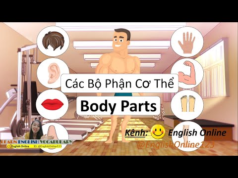 Từ vựng Tiếng Anh: Tên Các Bộ Phận Cơ Thể - Body Parts