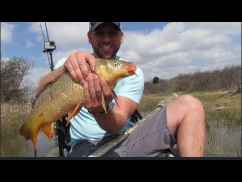 Kayak Fishing BIG carp!!!