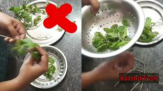 Kitchen tips || Mint leaves tips || kitchen time saving tips || KarthikVysh