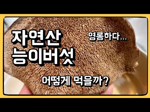 삼겹살 정도는 압살해버리는 최고의 식재료! : 자연산 능이버섯 이렇게 드세요!