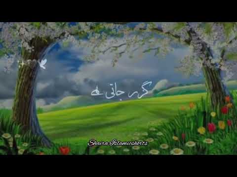 Shukar 🥀 | Islamic WhatsApp Status |