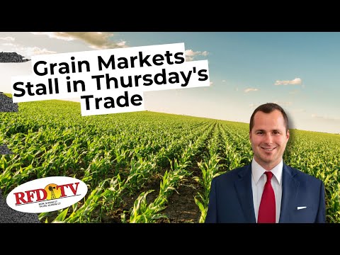 Grain Markets Stall in Thursday's Trade