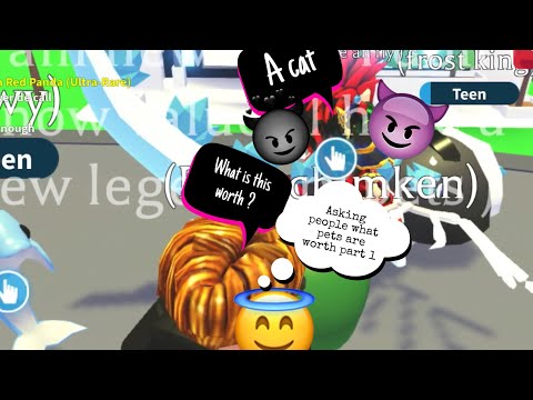 Asking people what pets are worth as a noob part 1!!!!!! ||Spirit KITTY CHANNEL AFNAN FAN