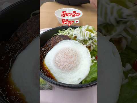 Beef Hamburg steak Bowl (Onion Sauce) and Coffee #uenozoo #uenopark #ueno #tokyo #japan