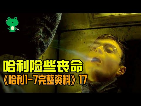 【細品哈利17】深度還原鳳凰社 | 解惑：橋下的黑影怪，哈利幾近窒息