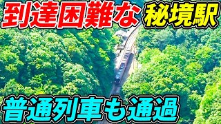 【脱出困難】普通列車すら通過するガチ秘境駅・坪尻に行ったらヤバすぎた...