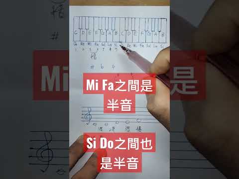 Mi到Fa 和 Si到Do是全音是半音？