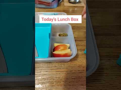 #todayslunchbox #tiffinrecipe #asmr #asmrsounds #officelunch #myhomemakingjourneyaparna #lunchideas