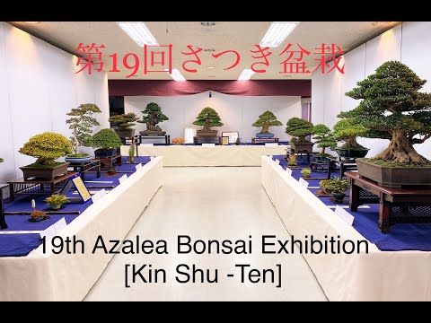 19th Azalea Bonsai Exhibition - 第19回皐月盆栽 - 2021 November (PART 1)