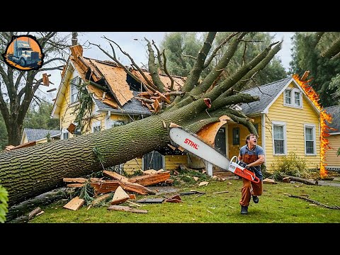 Extreme Dangerous Fastest Big Chainsaw Cutting Tree Machines - Tree Falling on Houses | Part 10