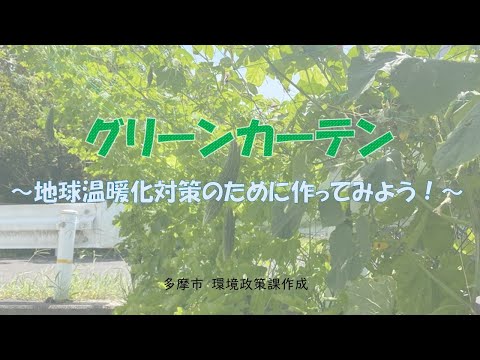 グリーンカーテン　～地球温暖化対策のために作ってみよう！～ 環境政策課