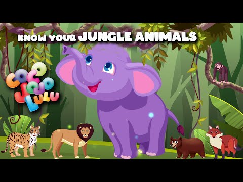 Wild Jungle Animals  | Coco Jojo Lulu | Nepali