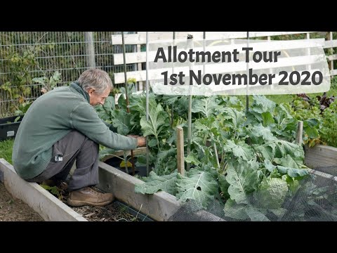 Allotment Tour, 1st November 2020