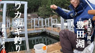 豊田湖ワカサギ釣り　シーズン本格化！？【好きっちゃ釣行記】