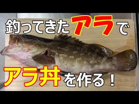 釣ってきたクエを捌いてクエ丼にしてみた！【16釣目】