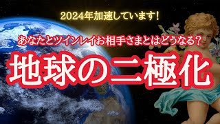 【ツインレイ】地球の二極化が加速しています🌎二極化って？👀お相手さまと離れるようなことはない？