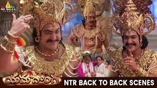 NTR Best Scenes Back to Back | Yamadonga | Telugu Movie Scenes | SS Rajamouli @SriBalajiMovies