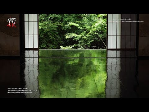 4K KYOTO [viewTV-100] 実相院門跡 床みどり ”Fresh Green in Jissoin Temple"