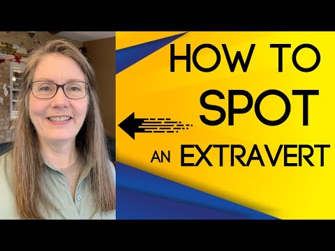 How to Spot an Enneagram 8, Extravert or Fi in 12 Mins | SIMPLE Extravert EXAMPLE | Episodic Emotion