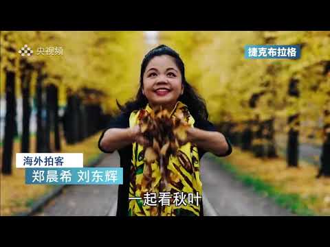 海外随手拍｜歌德笔下的欧洲最美城市 秋色迷人