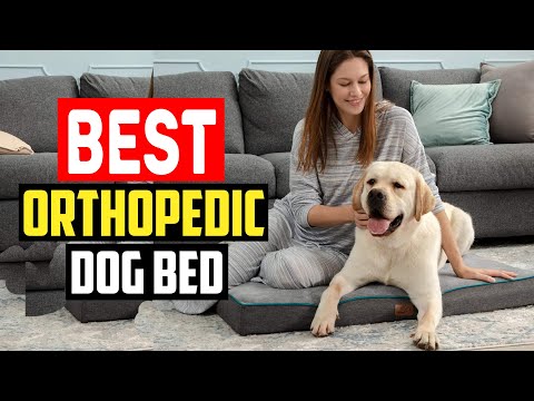 ✅5 Best Orthopedic Dog Bed of 2023