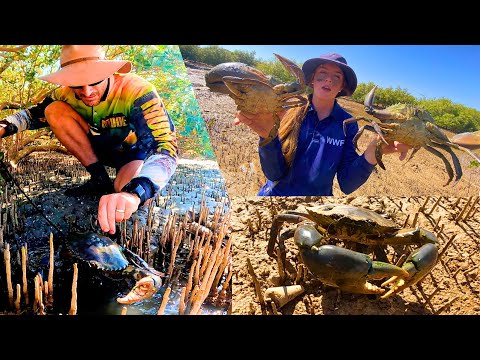 Hooking For Giant Mud Crabs - Catch & Cook - Sweet Chilli Crab Burgers 🤤