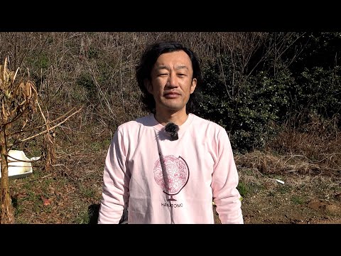 畑ファンの皆様に残念なお知らせ【カーメン君の畑】【家庭菜園】【園芸】【ガーデニング】