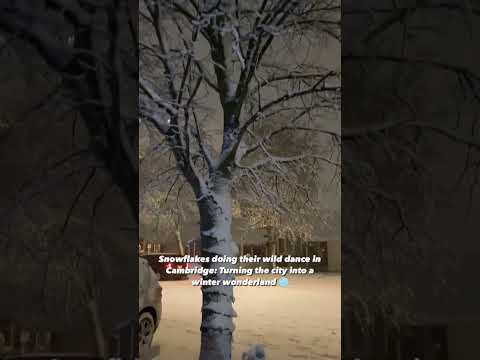 Winter Storm #dailyvlogs #lifeincanada #cambridge