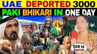 UAE DEPORTED 3000 PAKI BHIKARI IN ONE DAY PAK BLAME RAW KE SAZISH 😲