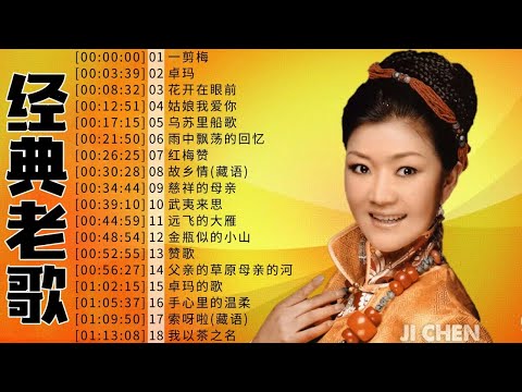 【经典老歌】女中音降央卓玛所有歌：一剪梅，一剪梅，卓玛，天籁之爱，花开在眼前，姑娘我爱你 | Tibetan Chinese Songs