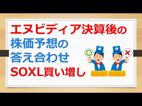 エヌビディア決算後の株価予想の答え合わせ、SOXL買い増し【有村ポウの資産運用】240830