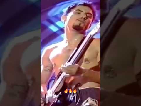 Dave Navarro On Fire 🔥 #davenavarro #rhcp #redhotchilipeppers #live #shorts