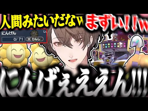 【面白まとめ】キマワリ（にんげん）をゲットしめちゃくちゃ気に入る社長のポケモンSVが面白過ぎたｗ【加賀美ハヤト/ポケモンSV/にじさんじ/切り抜き】