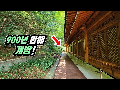 The secret forest hidden in the presidential palace in Seoul is finally open!