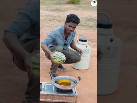 Crazy Experiment with Watermelon..🤮 What will happen....#mrsuncity #suncityexperiment