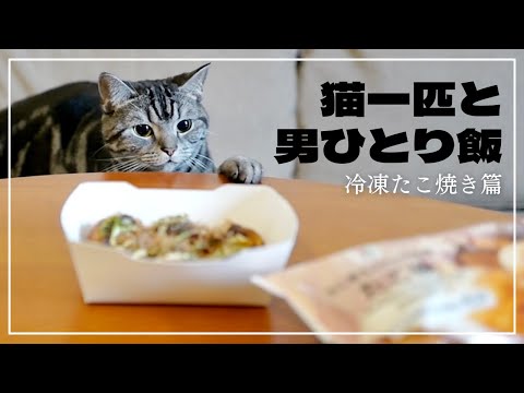 妻不在につき、愛猫に見守られながらコンビニの冷凍たこ焼きをひとりチンする【猫一匹と男ひとり飯】