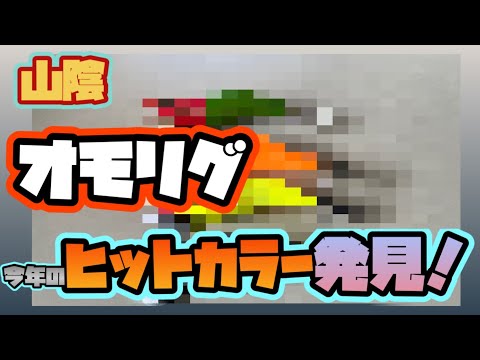 【オモリグ・イカメタル】今年のオススメカラーはコレで決まり！エギ交換無しで竿頭に！【山陰】