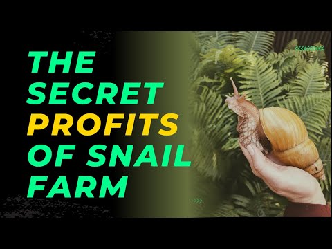 5 Ways Snails Can Make You RICHER Than You Think! The Snail Farm Goldmine