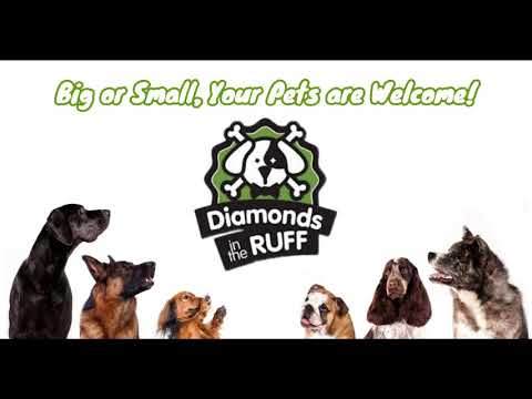 Diamonds in The Ruff Pet Boarding in Abilene - Dogs of any Size, Welcome!