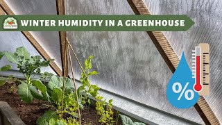 Managing Winter Humidity in a Greenhouse