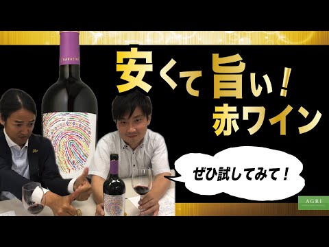 【コスパ最強】安くて旨い！社員が本気で薦める赤ワイン！　｜アグリワインチャンネル