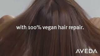 Aveda | Botanical Repair™ - Award-Winning Bond-Building Haircare