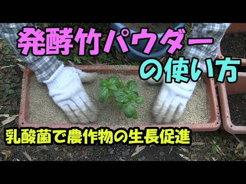 【発酵竹パウダー】発酵竹パウダーの使い方