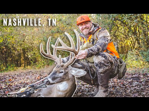 Urban Buck DECOYED in Backyard Foodplot!!