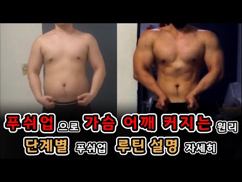 푸쉬업으로 가슴과 어깨를 키우는 루틴 설명