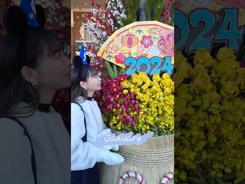 2024年ディズニー振り返り🐭💞来年もたくさん行けますように🪄 #ディズニー #2024 #disney #ファンタジースプリングス #ディズニーランド #shorts #tdl