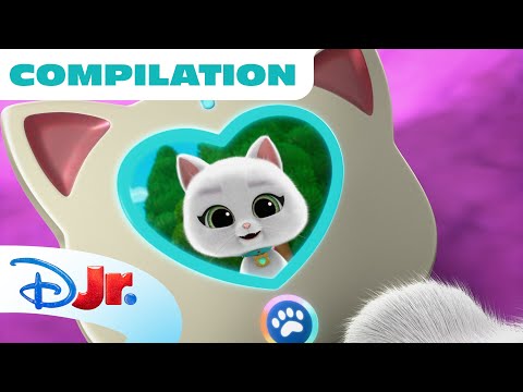 Bitsy's Vlogs 💞🐱 | Part 7 | Compilation | SuperKitties | @disneyjr