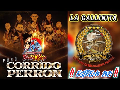 La Gallinita / Josecito León y Su Internacional Banda Roja / Estreno 2021