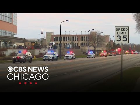 Police, fire departments hold Christmas parade for Chicago area hospital workers